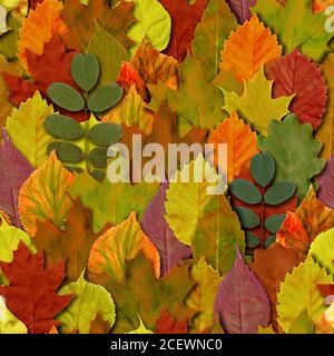 Herbst Blätter nahtlose Muster Hintergrund. Herbstblatt buntes Laub. Schöne helle gelb orange grün rot Natur endlose Textur. Stockfoto