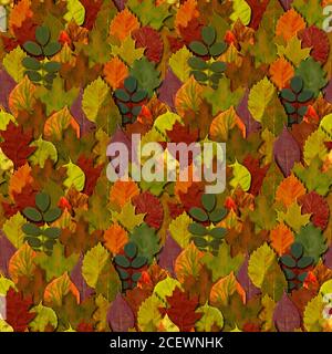 Herbst Blätter nahtlose Muster Hintergrund. Herbstblatt buntes Laub. Schöne helle gelb orange grün rot Natur endlose Textur. Stockfoto