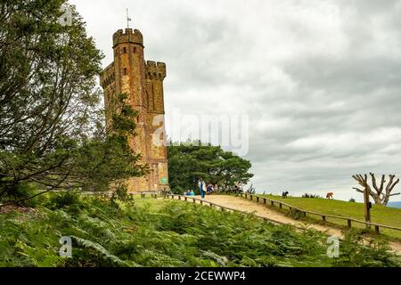 Leith Hill Tower, Surrey, Großbritannien Stockfoto