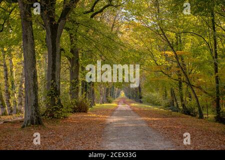 Die Seilbahn in Chamonix, eine der höchsten Seilbahnen der Welt. Stockfoto