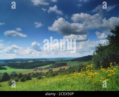 Der Blick von Newlands Corner, Surrey Hills Bereich von außergewöhnlicher natürlicher Schönheit. North Downs, Surrey, England, Großbritannien Stockfoto