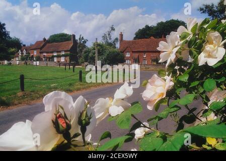 Das Dorf grün, die Lee, Buckinghamshire, Chilterns, England, Großbritannien Stockfoto