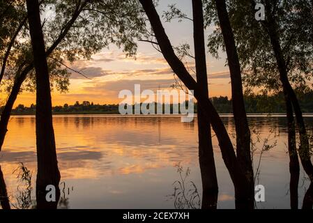 Schwarze Silhouetten von Bäumen, die vor dem Hintergrund eines hellen Sonnenuntergangs aus dem Wasser wachsen. Stockfoto