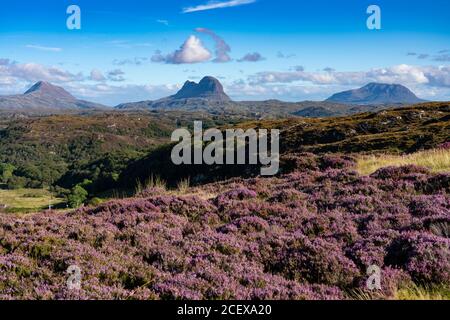 Blick auf die Berge in Assynt Coigach Region der schottischen Highlands, Schottland, Großbritannien Stockfoto