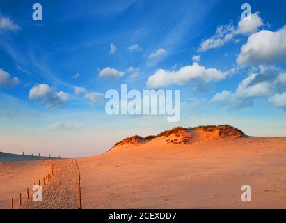 Dünen im Slowinski National Park. Polen. Stockfoto