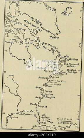 . Eine vollständige Geographie. lso Schafzucht (S. L 164, S. Welche Staaten sind in diesen Branchen am wichtigsten? (Abb. 256-258.) impouant m countrrtT I.RT ^* ^^^^ ^^^-^^« P-PL^ to thecountry iigure 259 zeigt die Verteilung der Wälder. De-scribe die Industrie, wie es in Maine ist Aas (S. L 46, S. In den südlichen Staaten (S. L 98, S. InMichigan (S. L 130, S. Im Nordwesten (S. L 157, S. Warum diese Unterschiede? Welches sind die meisten Arten von Bäumen? Was sind die Produkte des Waldes besideslumber ? (S. 50 und 99.) Die Fischerei ist eine fünfte prominente Besetzung außerhalb der Städte. In welchen Abschnitten ist es besonders ich Stockfoto