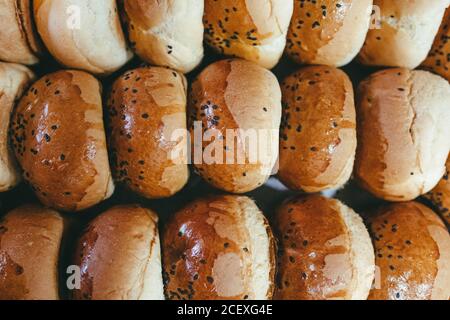 Blick von oben auf appetitlich frisch gebackene Brötchen mit schwarzem Sesam Für Hamburger in Reihen angeordnet Stockfoto