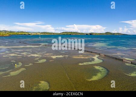 Karibische Strände sind wegen der Sargassum-Algen im Niedergang. Zäune werden im Meerinstalliert Dies ist der Fall hier in der Stadt Vauclin auf Martinique. Stockfoto