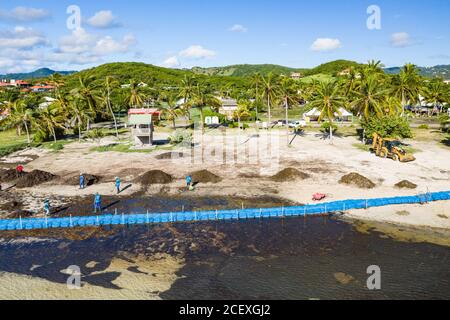 Karibische Strände sind wegen der Sargassum-Algen im Niedergang. Zäune werden im Meerinstalliert Dies ist der Fall hier in der Stadt Vauclin auf Martinique. Stockfoto