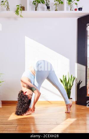Seitenansicht der frauen Frau, die Yoga im Stehen nach vorne praktiziert Bend Pose in hellen Wohnung an sonnigen Tag Stockfoto
