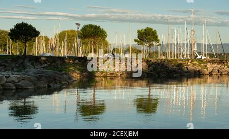 Baumspiegelung im Wasser des Genfer Sees, Frankreich Stockfoto