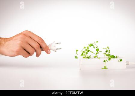 Beschnittene Ansicht des Mannes, der Netzstecker in der Nähe der grünen Pflanze hält Wächst in Sockel in Power Extender auf weißem Hintergrund Stockfoto