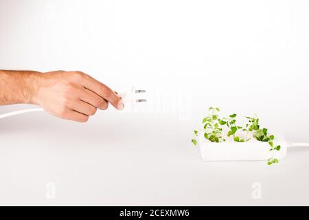 Beschnittene Ansicht des Mannes, der Netzstecker in der Nähe der grünen Pflanze hält Wächst in Sockel in Power Extender auf weißem Hintergrund Stockfoto