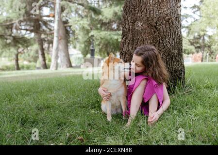 Kleines Mädchen im Sommerkleid umarmen und küssen niedlich Shiba Inu Hund beim Sitzen zusammen auf grünem Rasen in der Nähe von Baum Im Sommer Park Stockfoto