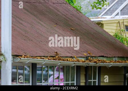 Über Dachrinne mit herbstlichen Blättern, die eingeklebt sind Das Netz Stockfoto