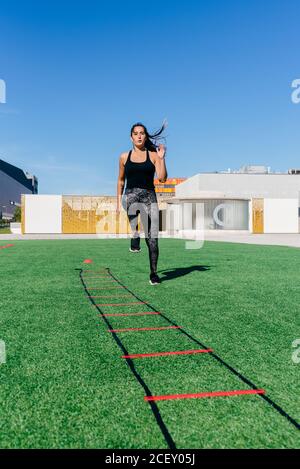 Low-Angle-Ganzkörper der energischen jungen weiblichen Athletinnen Durchführung Laufübungen auf Rasen mit Speed-Leiter während des Trainings Im Stadion Stockfoto