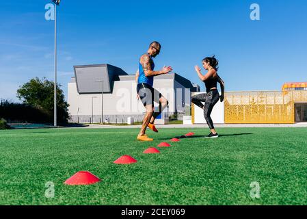 Ganzkörper-Seitenansicht von fokussierten, sportlichen Männern und Frauen, die beim Training mit einer Agility-Leiter auf dem grünen Rasen auf dem Sportplatz Ausfallschritte machen Stockfoto