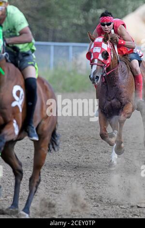 Die Enoch Cree Nation indischen Relais (Pferd) Rennen. Alberta, Kanada Stockfoto