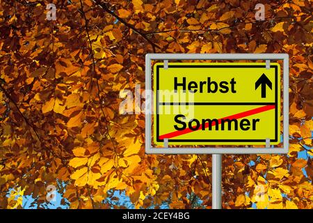 Wegweiser, Ende Sommer und Anfang Herbst, sommer, Herbst Stockfoto