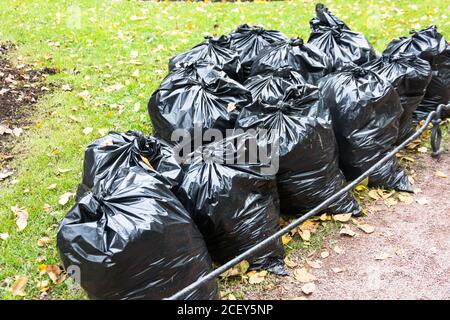 Schwarze Müllsäcke im Park im Frühherbst Stockfoto