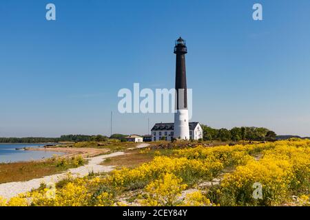 Der hohe Leuchtturm Sorve ist der bekannteste Anblick auf Saaremaa Insel in Estland Stockfoto