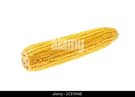 Maiskolben isoliert auf weißem Hintergrund Stockfoto