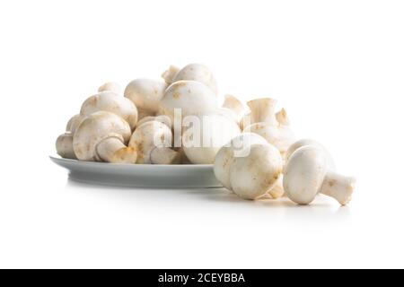 Frische weiße Champignon-Pilze isoliert auf weißem Hintergrund. Stockfoto
