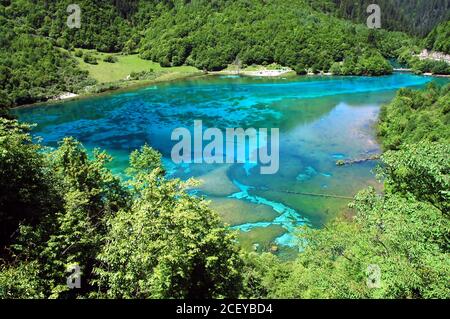 Juizhaigou (Tal der neun Dörfer) in Sichuan, China. Blick auf den Five Flower Lake. Stockfoto