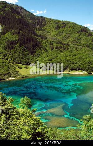 Juizhaigou (Tal der neun Dörfer) in Sichuan, China. Blick auf den Five Flower Lake. Stockfoto