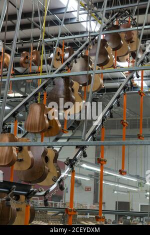 Gitarrenkörper werden auf einem automatisierten Karussell platziert, das herumläuft Die Decke der Fabrik, um Speicherplatz zu sparen, während Die neu verleimten Brücken trocknen ein Stockfoto