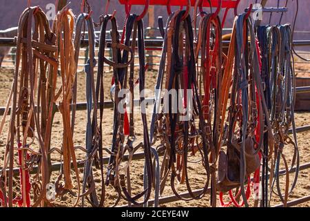 Halfter und Zügel für Ausritte auf Reitwegen im Monument Valley Navajo Tribal Park im Norden Arizonas. Stockfoto