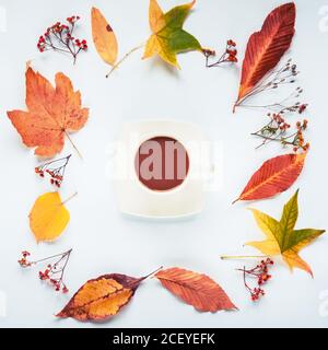 Rahmen aus gelben Blättern und getrockneten Blumen, eine Tasse Kaffee in der Mitte, weißer Hintergrund. Herbstkonzept. Draufsicht, flach liegend. Stockfoto