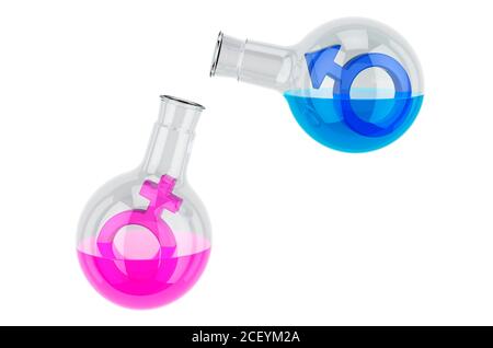 Set von Kolben mit weiblichen und männlichen Geschlechts Symbole innen. Chemie der Liebe Konzept. 3D-Rendering auf weißem Hintergrund isoliert Stockfoto