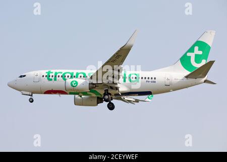 AMSTERDAM, NLD. 12. AUGUST 2020 Transavia Boeing 737 im Bild am Flughafen Amsterdam Schiphol (Quelle: Robert Smith, MI News) Stockfoto