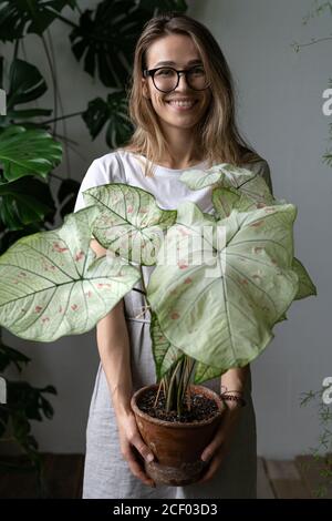 Glückliche Gärtnerin in einem grauen Leinenkleid, hält Blume Caladium Zimmerpflanze mit großen weißen Blättern und grünen Adern in Tontopf, Blick auf die Kamera. Stockfoto