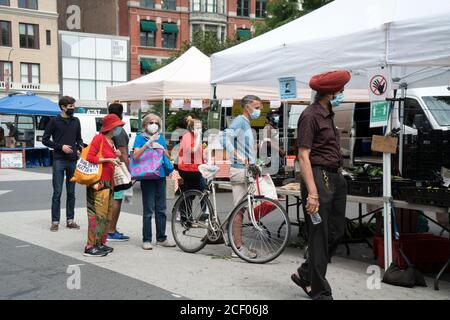 Einkäufer auf dem Union Square Bauernmarkt an einem Montag gegen Ende des Sommers. Wegen Covid-19 mussten die Käufer Masken tragen. Stockfoto