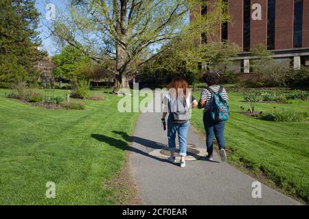 Zwei Studenten gehen durch den Garten des Smith College in Northampton, Massachusetts. Stockfoto