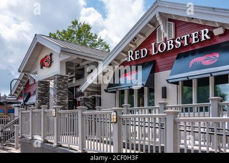 Red Lobster Restaurant in Buford, Georgia. (USA) Stockfoto