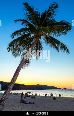 Palmen und Strand bei Sonnenuntergang, Patong, Phuket, Thailand Stockfoto