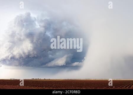 Hagel Sturm mit dramatischen Wolken über einem Farmfeld in Littlefield, Texas, USA Stockfoto