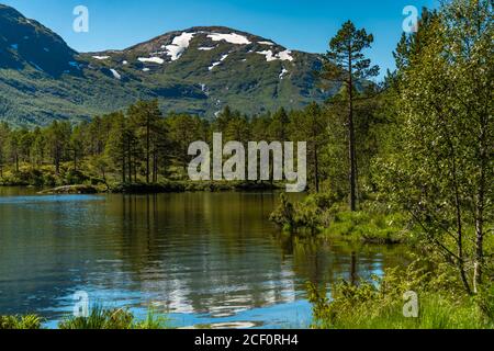 Landschaft entlang des Gaula Flusses entlang der Straße 13 bei Hov in der Region Sogn Og Fjordane, Norwegen. Stockfoto