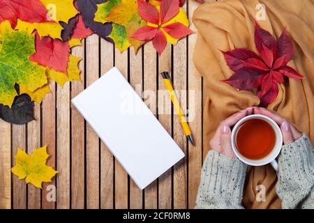 Herbstblätter, weißes Notizbuch, Stift, Teetasse in weiblichen Händen Stockfoto