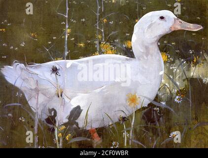 Crawhall Joseph - The White Drake - British School - 19. Jahrhundert Stockfoto