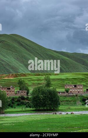 Ein kleines Dorf im Bergtal in Tibet, China. Stockfoto