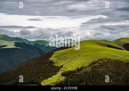 Der Sommerblick auf die grüne Bergwiese in Tibet, China. Stockfoto