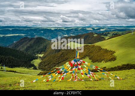 Der Sommerblick auf die grüne Bergwiese in Tibet, China. Stockfoto