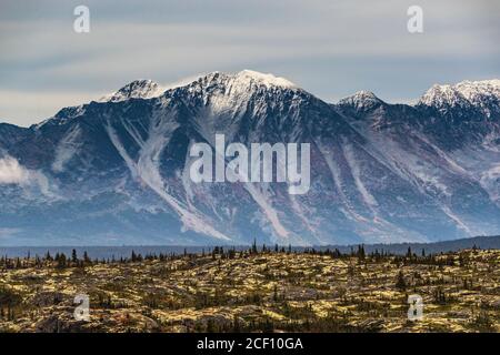 Alaska Landschaft Reise Tourist Herbst Ziel für Herbst Kreuzfahrt Saison. Bergkette weit weg im Hintergrund mit Tundra und Pinienwäldern Stockfoto