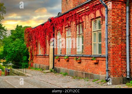 Altes Backsteingebäude mit rotem Virginia-Kriechgang im Herbst in Suomenlinna, Helsinki, Finnland. Stockfoto