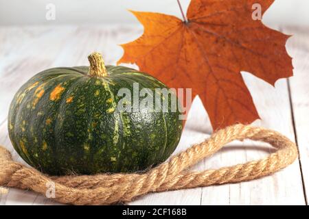 Kleiner grüner Kürbis mit orangefarbenem Blatt und Seil liegt auf hellem Holzhintergrund. Herbstkomposition Stockfoto