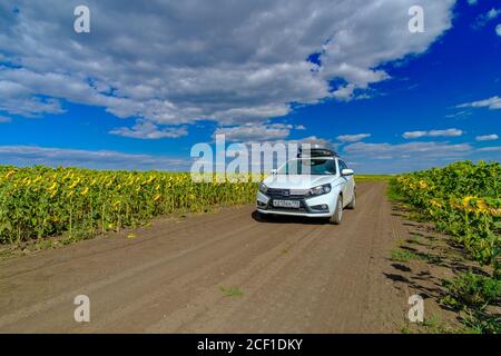 Wolgograd Region. Russland. 10. August 2020. Weißes Auto Lada Vesta mit einem Frachtschachtel auf dem Dach auf einer Dorfstraße zwischen Feldern blühender Sonnenblumen Stockfoto